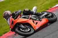 Middle 2 Group Orange Bikes